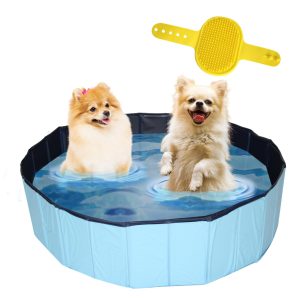 Hondenzwembad blauw met 2 honden