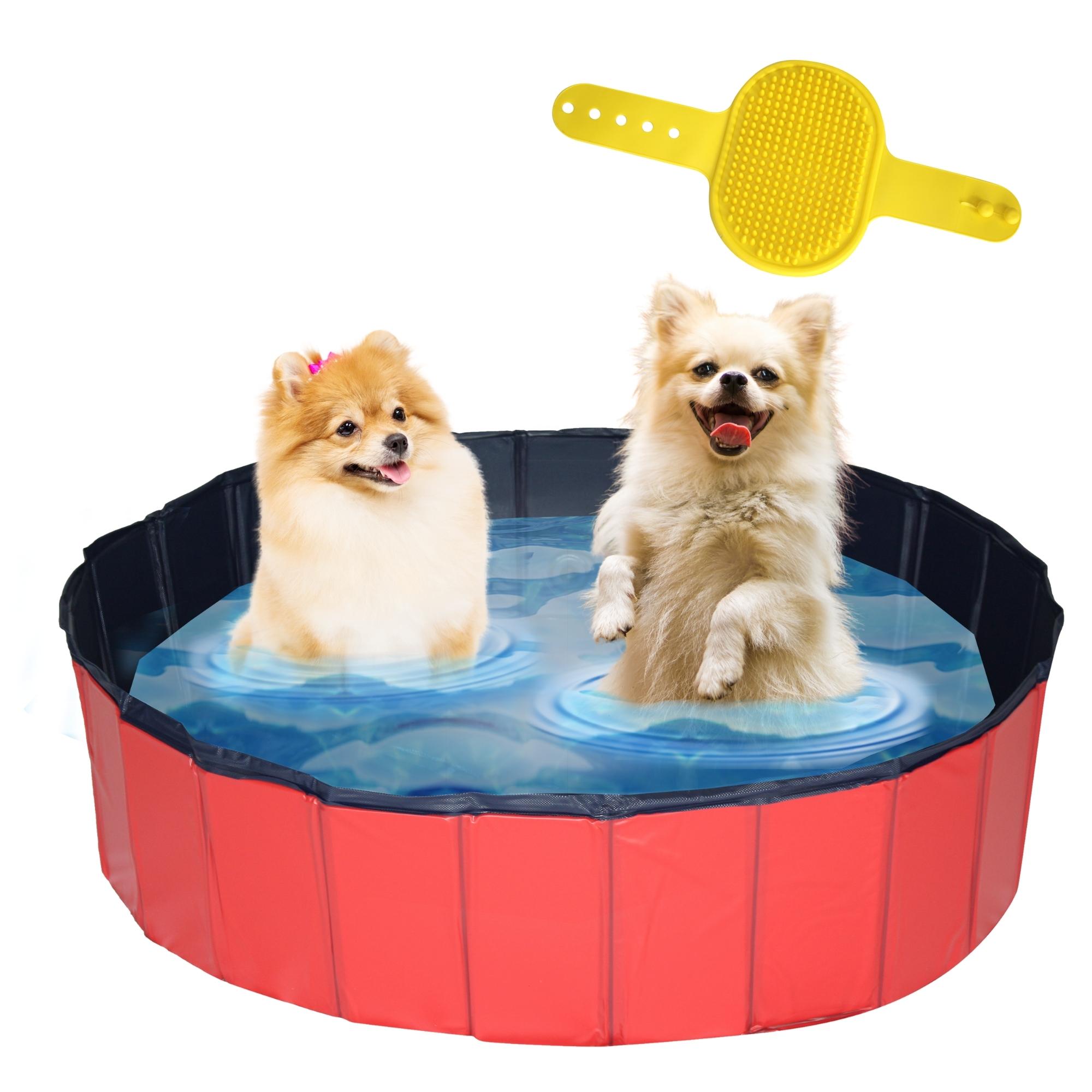 Hondenzwembad in rood met 2 honden