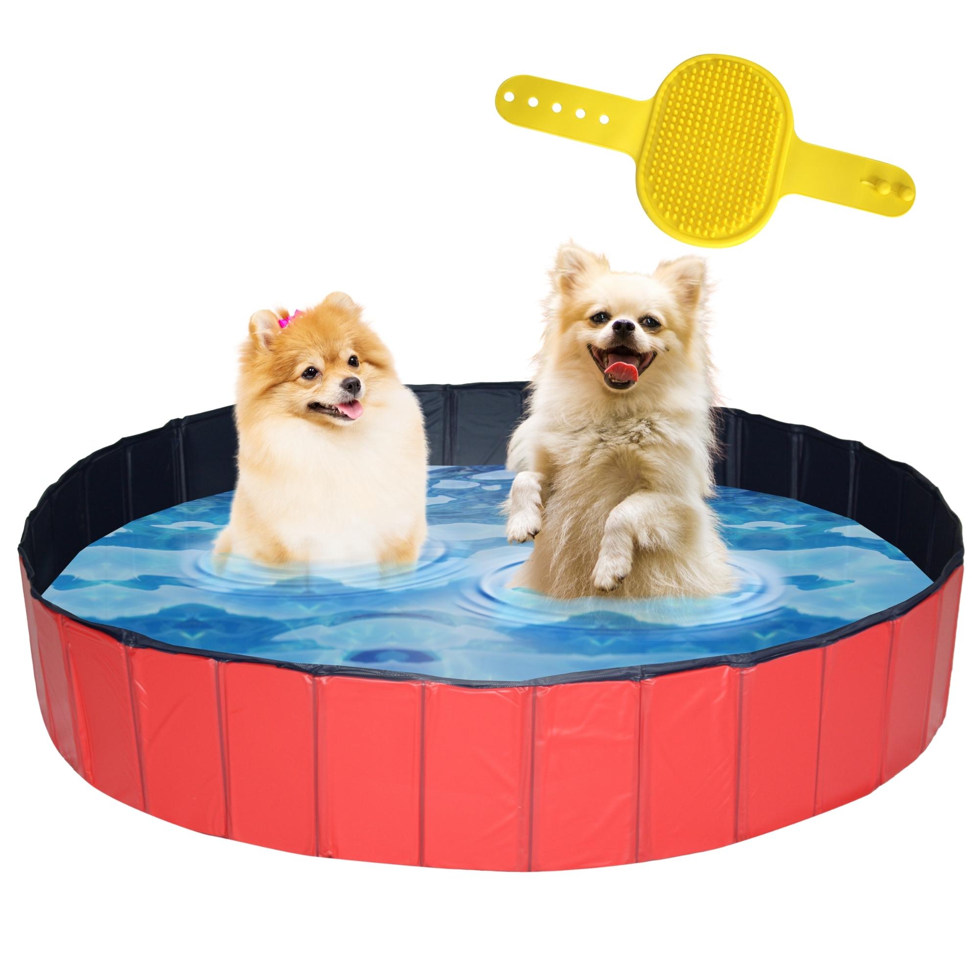 Hondenzwembad in rood met 2 honden